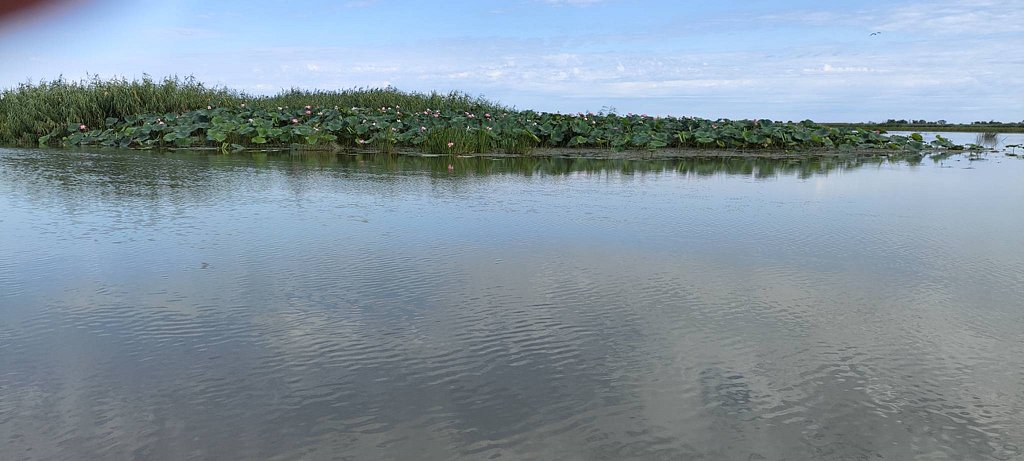 Фото из отзыва от 11.08.2025