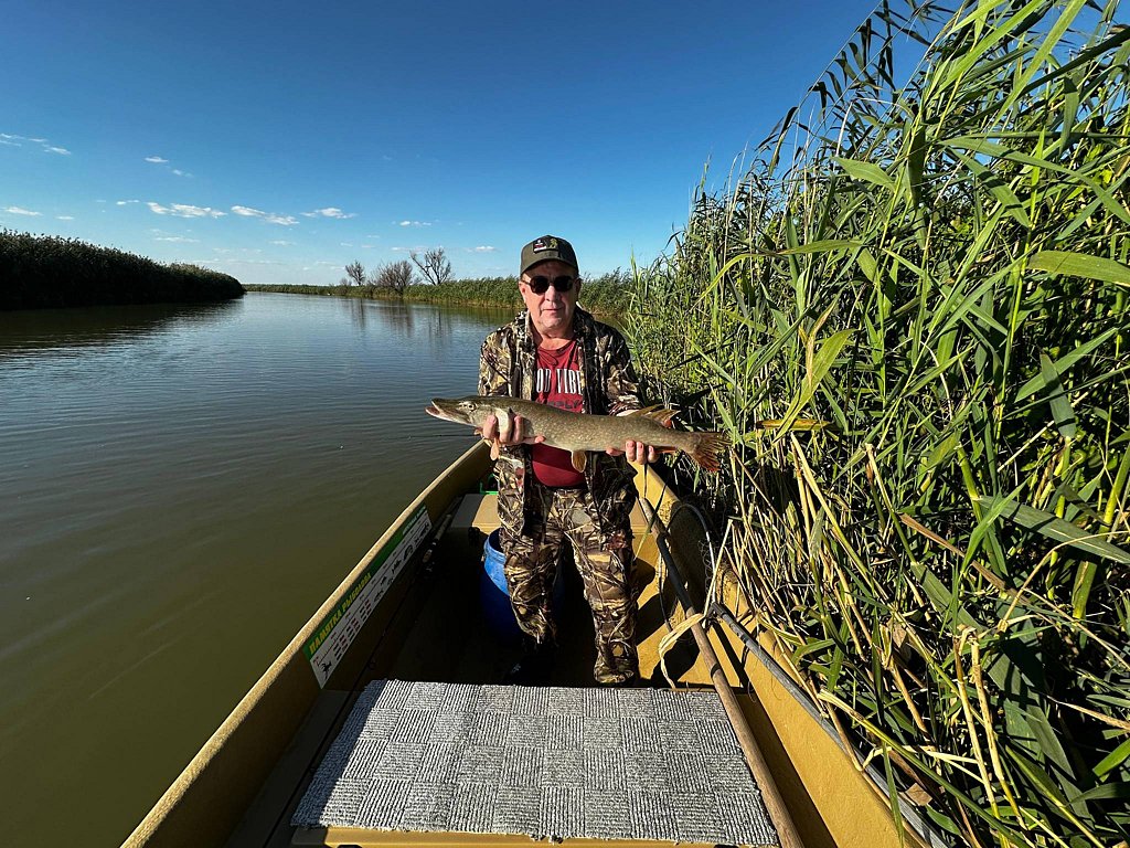 Фото из отзыва от 11.08.2025