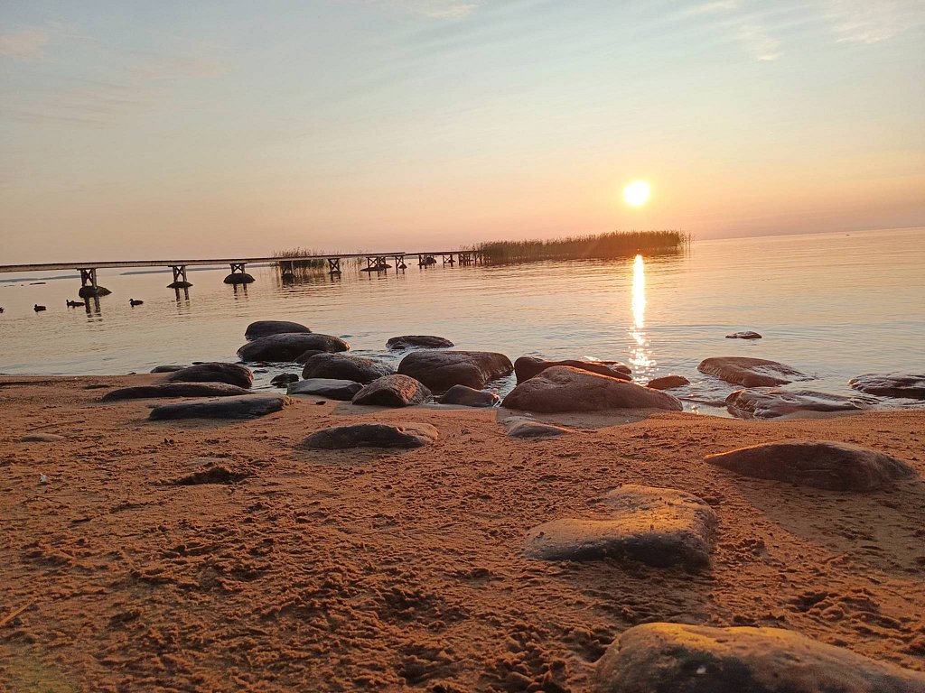 Фото из отзыва от 04.08.2025