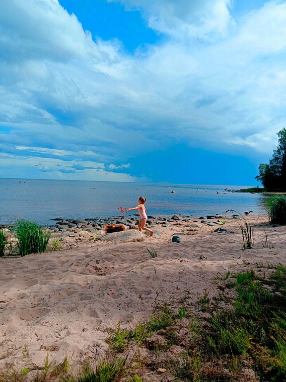 Фото из отзыва от 04.08.2025