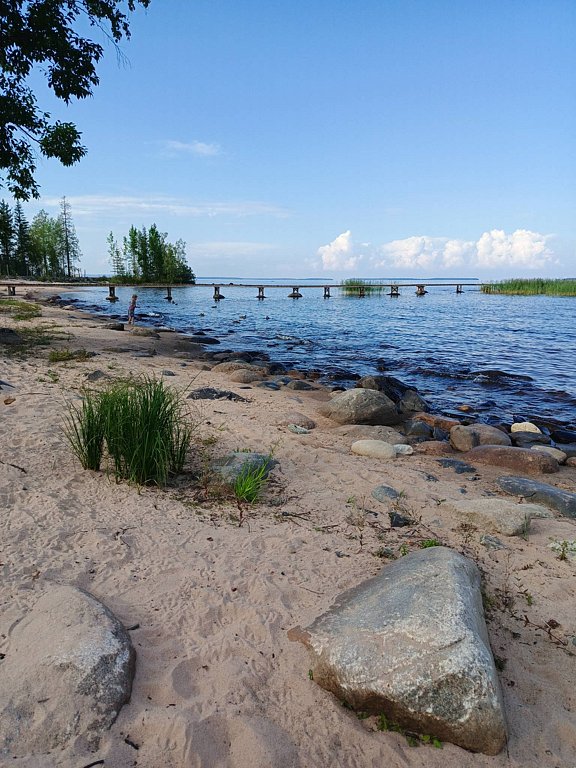 Фото из отзыва от 04.08.2025