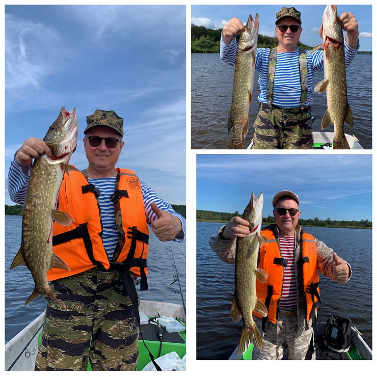 Фото из отзыва от 09.08.2025