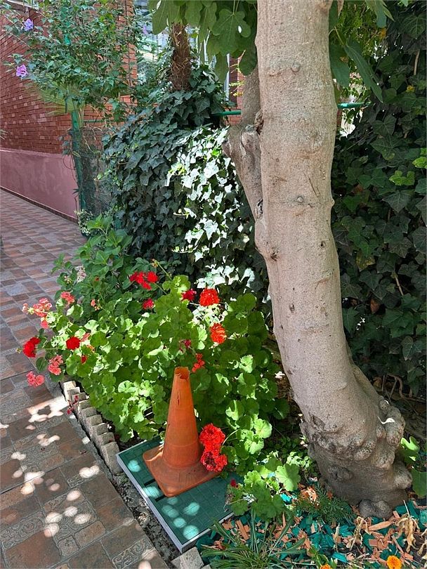 Амалия, Краснодарский край: фото 4