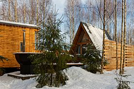Коттедж с красивым видом из окна, Гостевой дом My little forest, Дмитровский район