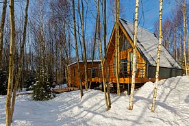 Коттедж With Sauna, Гостевой дом My little forest, Дмитровский район