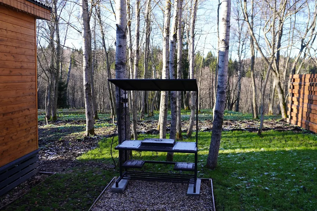 My little forest, Московская область: фото 5