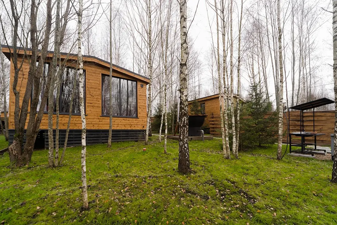 My little forest, Московская область: фото 3