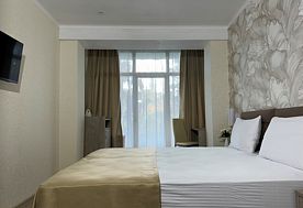 1-мест. (разм. в 2-мест.) станд. без балк. (вид на парк), База отдыха Черноморец, Гудаута