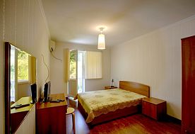 2-мест. станд., Пансионат Водопад, Новый Афон