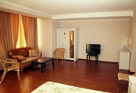 2-мест. 1-комн. люкс, Пансионат Водопад, Новый Афон