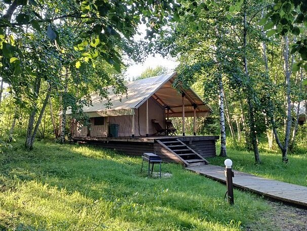 Видомлицы, Новгородская область: фото 4