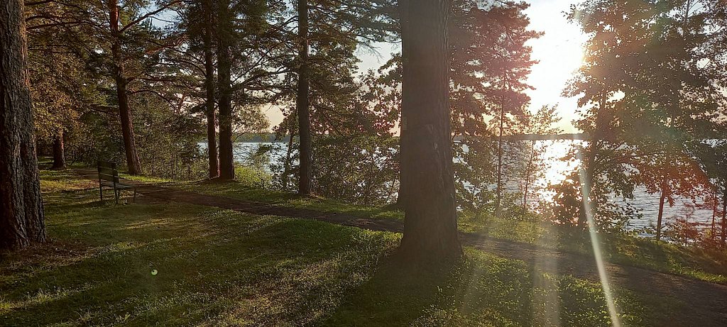 Фото из отзыва от 19.08.2025