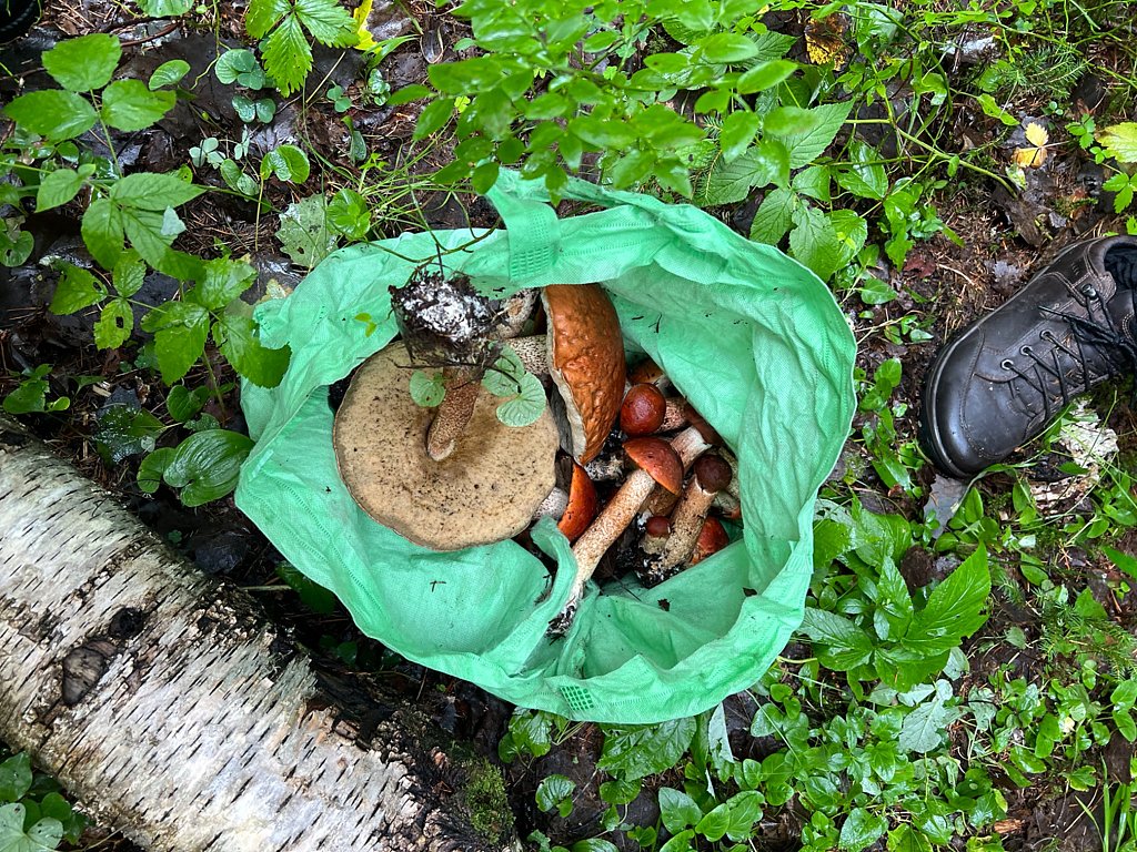 Фото из отзыва от 23.08.2025