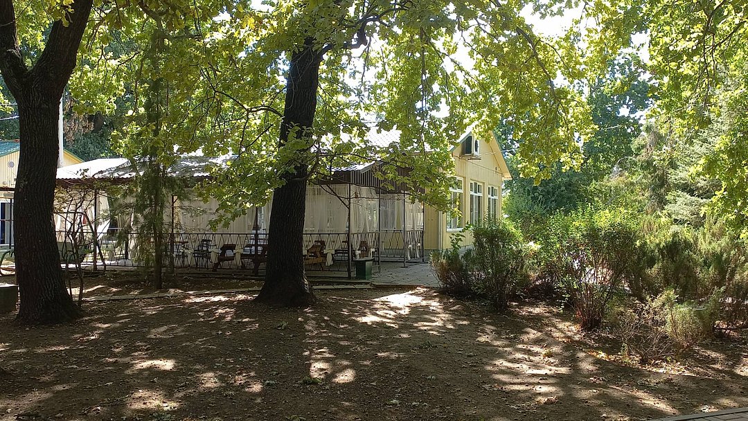 Фото 5 из отзыва о базе отдыха Дружба