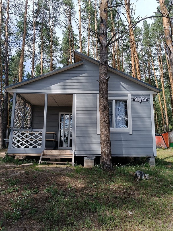 Дома в аренду на территории Спутник, Самарская область, село Муранка Шигонский район (Муранский бор)