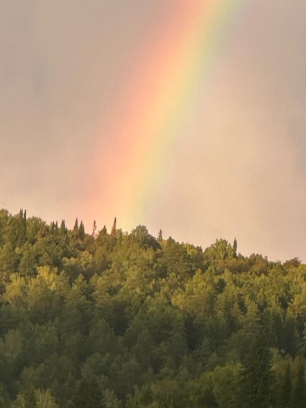 Фото 3 из отзыва о доме в аренду BoraBora.Pavlovka