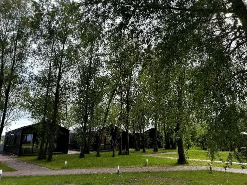 Куликово Поле, Калининградская область: фото 5