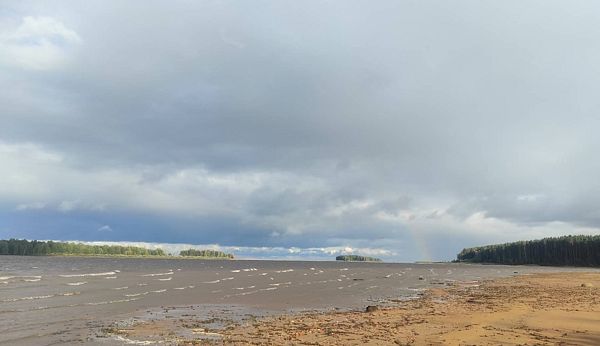 Река Молога