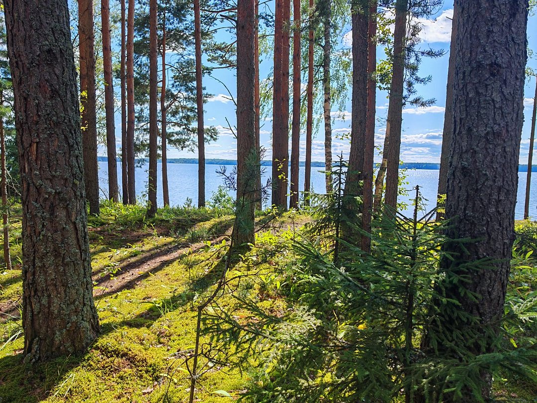 Коттедж проезд Лесной, д. 14, Тверская область: фото 2