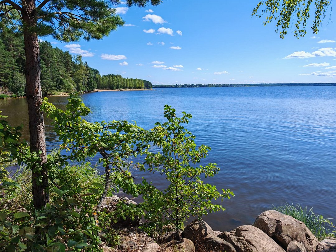 Коттедж проезд Лесной, д. 14, Тверская область: фото 4