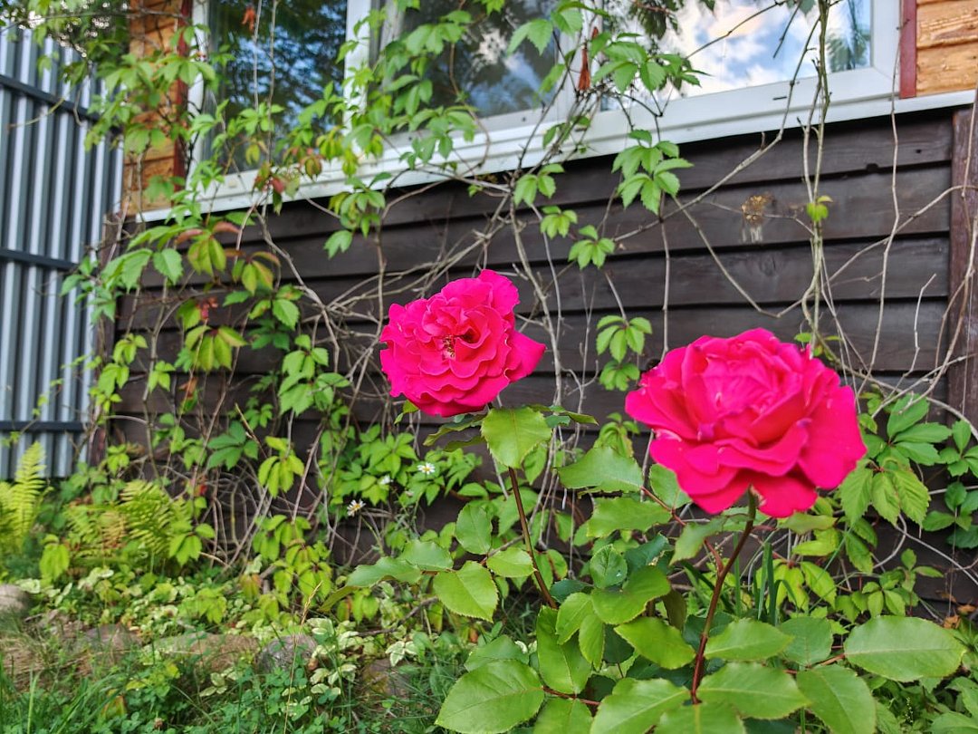 Изба на Селигере у озера , Тверская область: фото 3