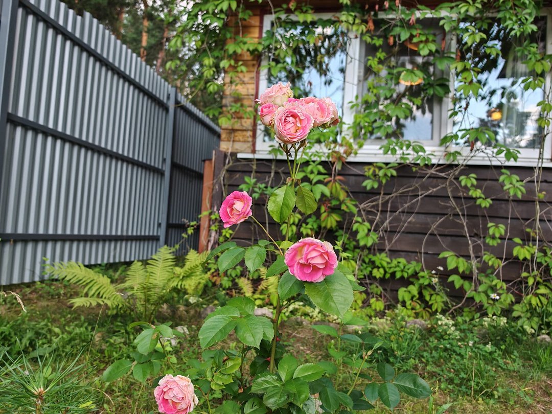 Изба на Селигере у озера , Тверская область: фото 2