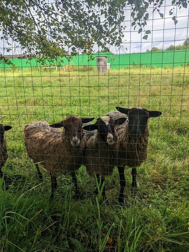 Фото 1 из отзыва о коттеджном комплексе Домик у озера