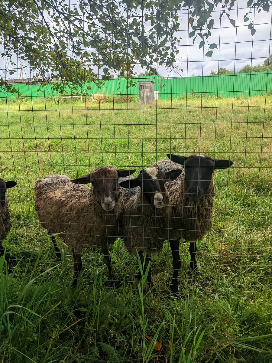 Фото 1 из отзыва о коттеджном комплексе Домик у озера