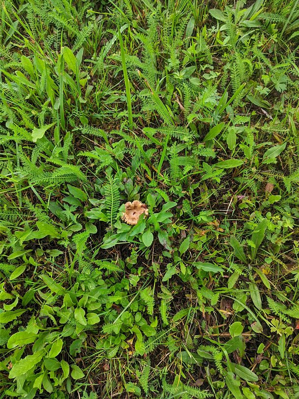 Фото 2 из отзыва о коттеджном комплексе Домик у озера