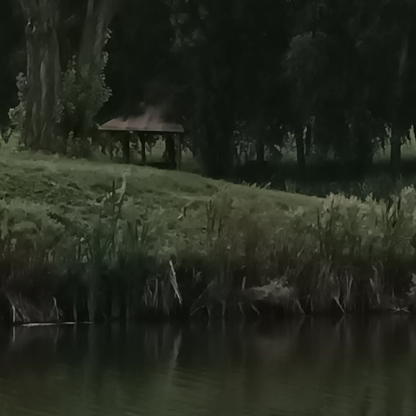 Фото 2 из отзыва о парк-отеле Кленовая роща