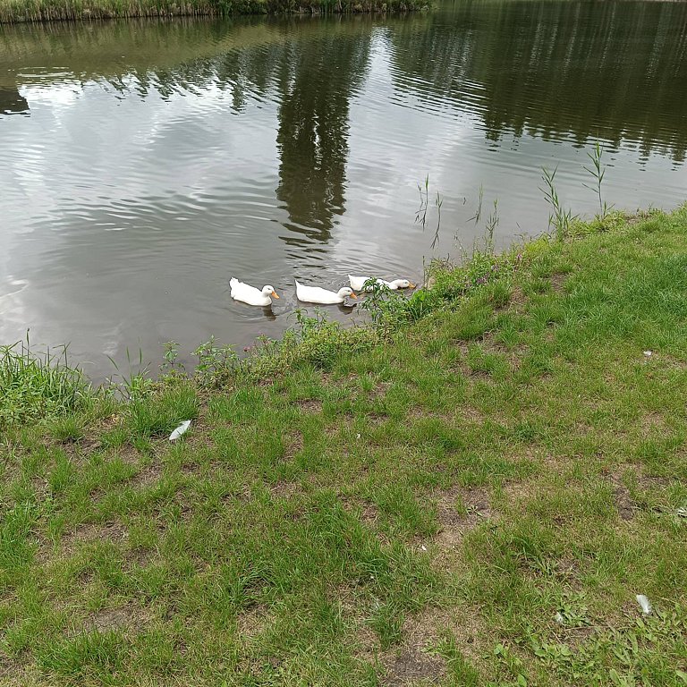 Фото из отзыва от 18.08.2025