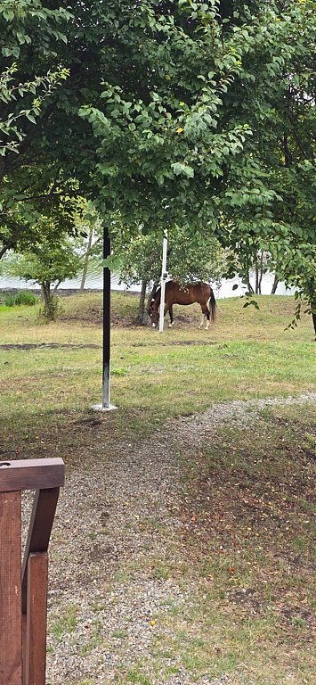 Фото из отзыва от 24.08.2025