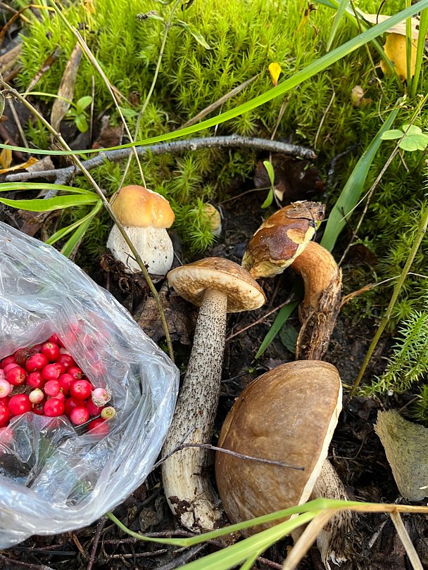 Фото 8 из отзыва о загородном клубе Valday Hunting & Country Club