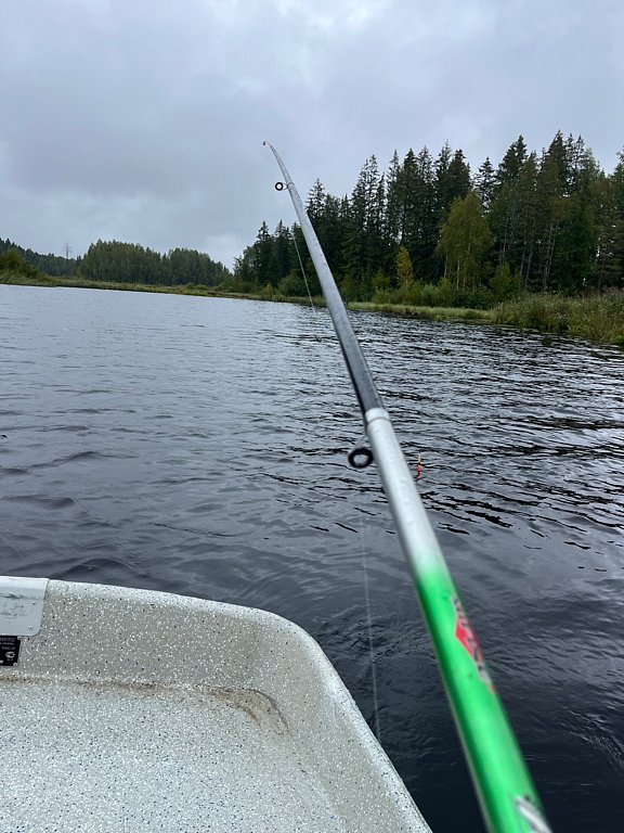 Фото из отзыва от 25.08.2025