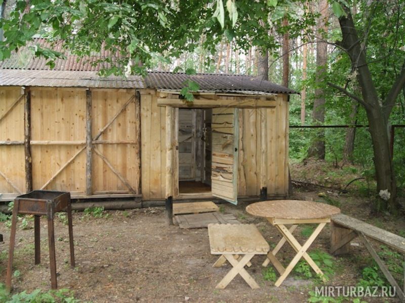 шашлык во дворе бани