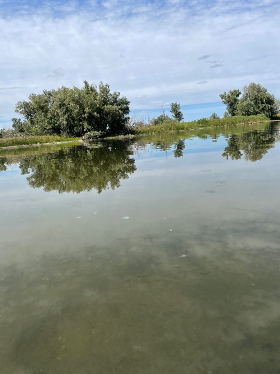 Фото 18 из отзыва о базе отдыха Донская Миля