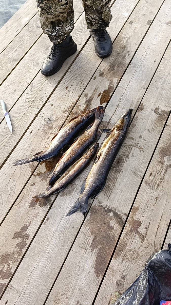 Фото 17 из отзыва о базе отдыха Лесное озеро