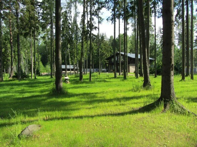 Моя Мечта, Ленинградская область: фото 2