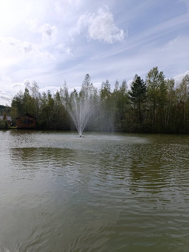 Фото 3 из отзыва о парк-отеле Некрасово