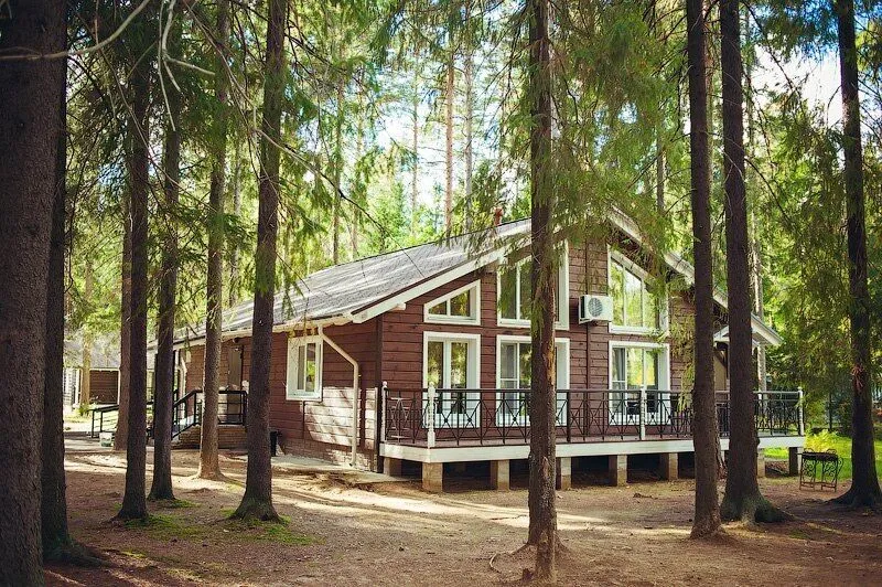 Царство-Королевство, Ленинградская область: фото 4