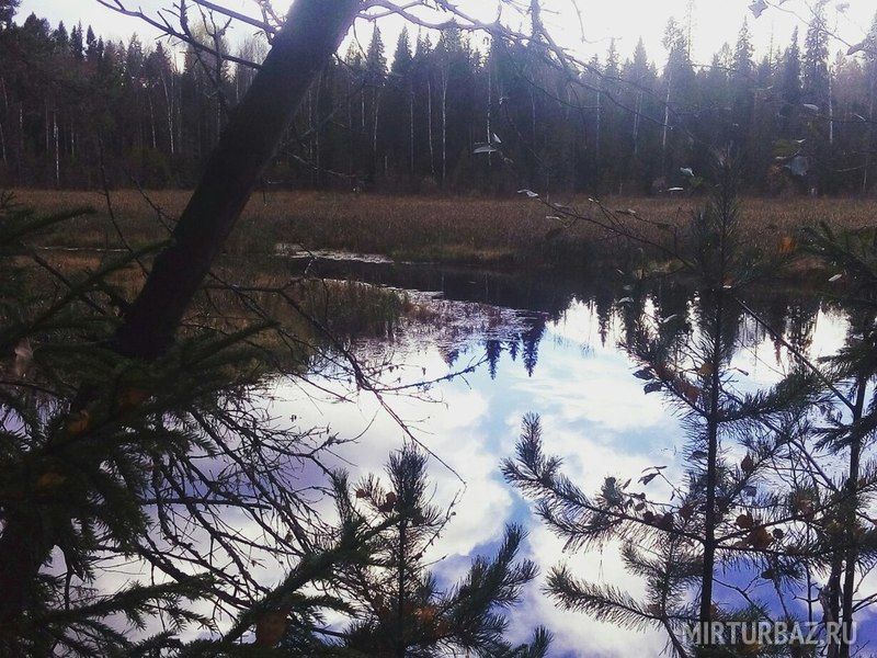 Раиха, Кировская область: фото 5