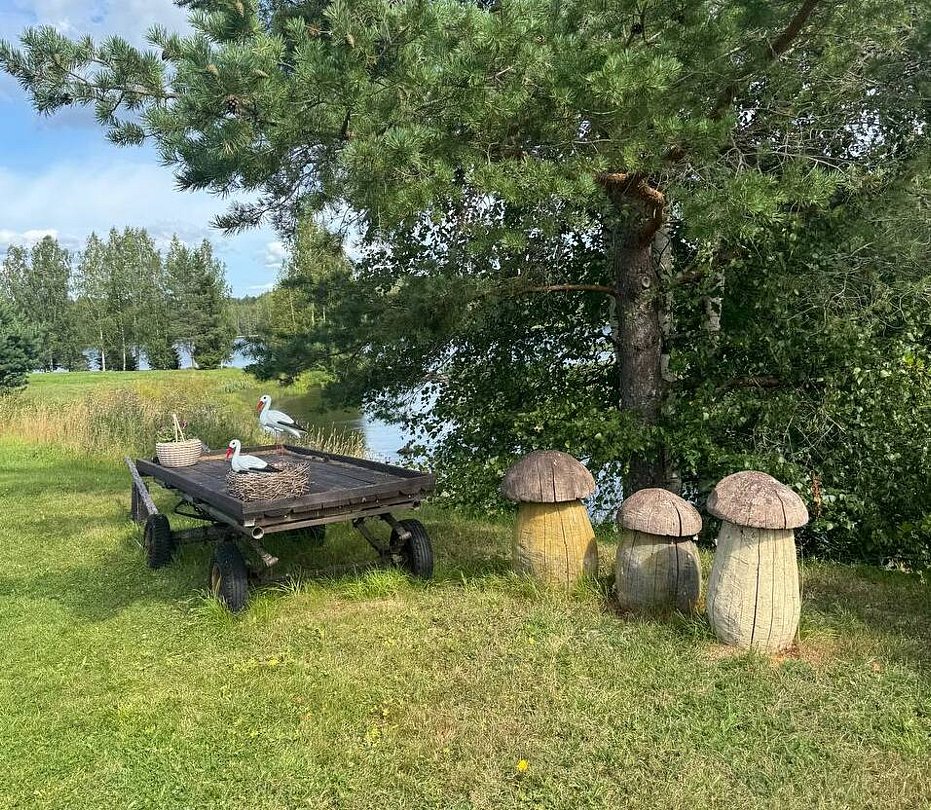 Шулка, Республика Карелия: фото 5