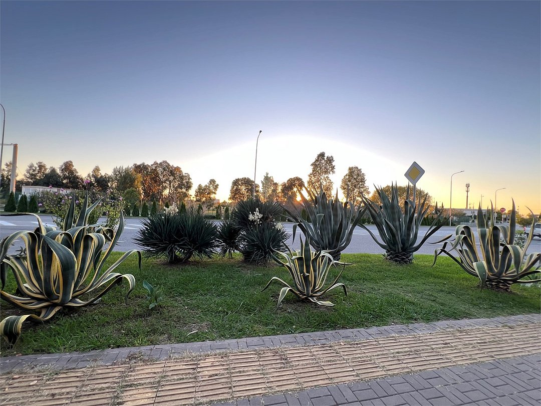 Апартаменты Калипсо, Краснодарский край: фото 3