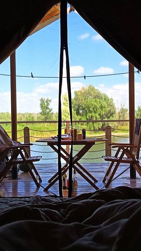 Фото 1 из отзыва о базе отдыха Донская Миля