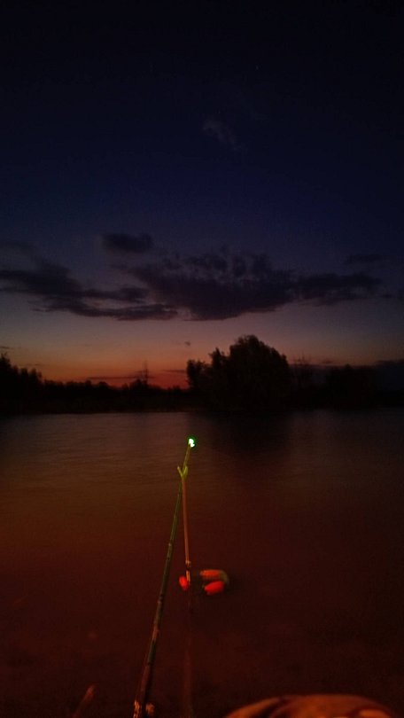 Фото 7 из отзыва о базе отдыха Донская Миля