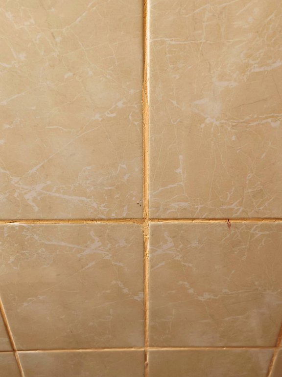 Фото из отзыва от 25.08.2025