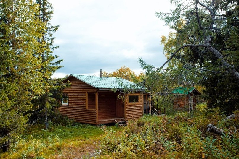 Лесная сказка, Ненецкий автономный округ: фото 3