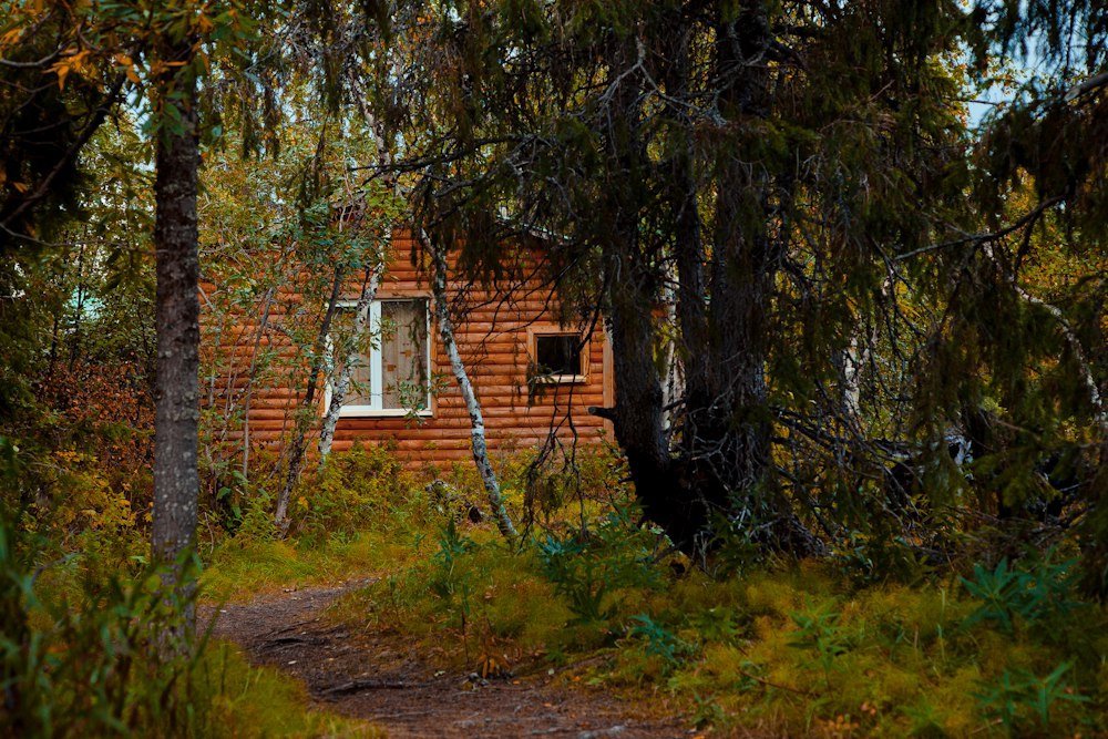 Лесная сказка, Ненецкий автономный округ: фото 5