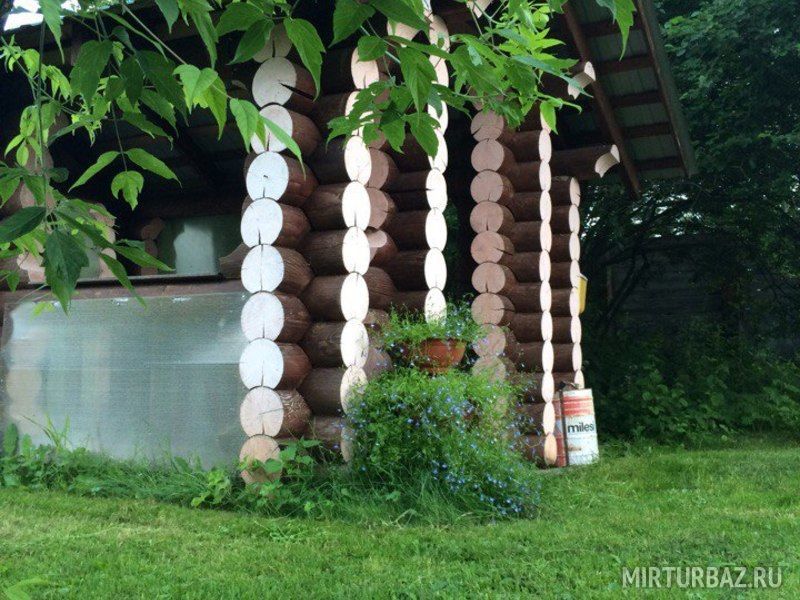 Лесная сказка, Кировская область: фото 4