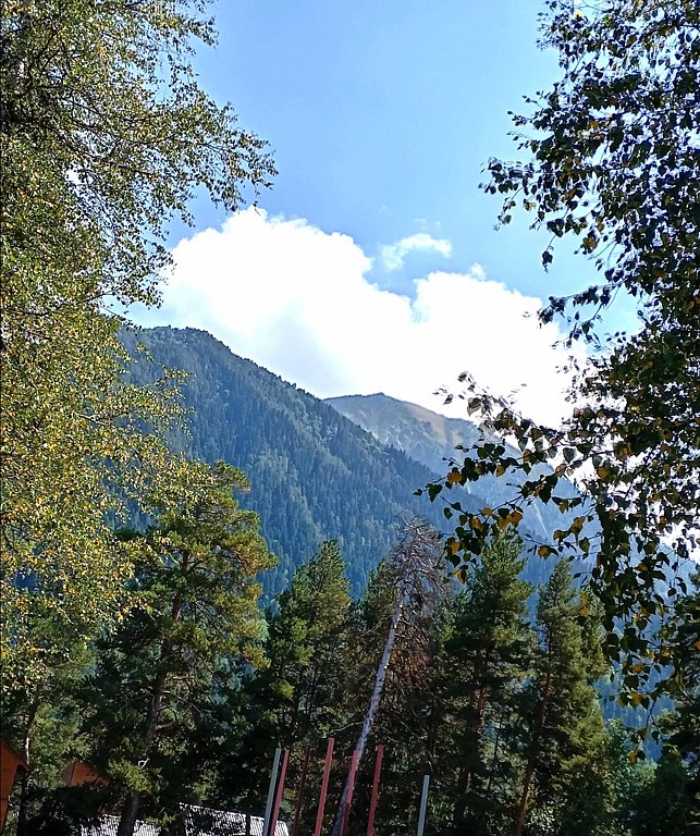 Фото из отзыва от 26.08.2025